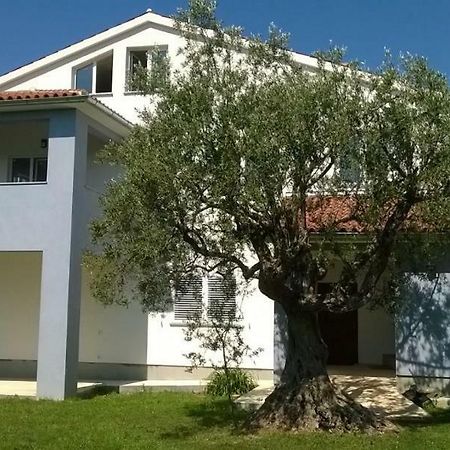Apartments Villa Ulivo - Apartment Sol Fažana Kültér fotó