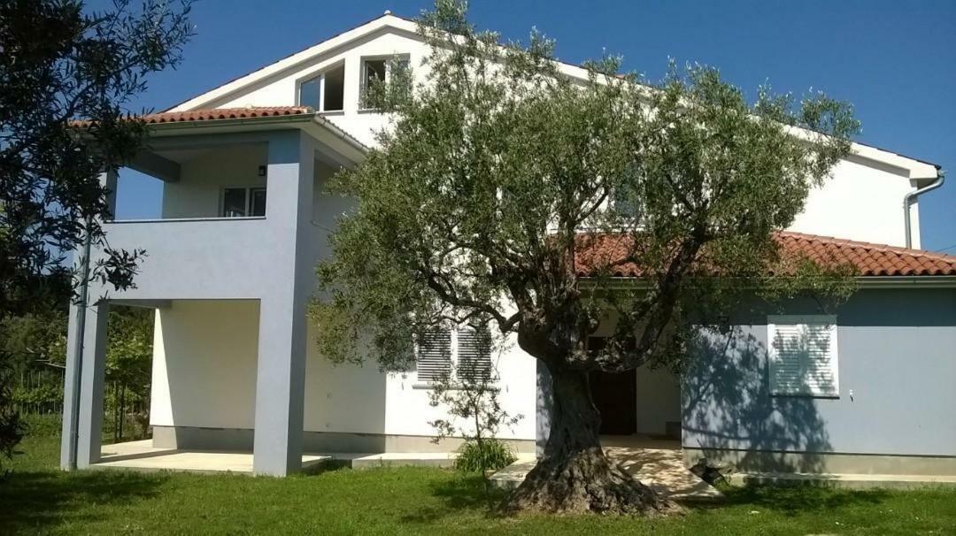 Apartments Villa Ulivo - Apartment Sol Fažana Kültér fotó