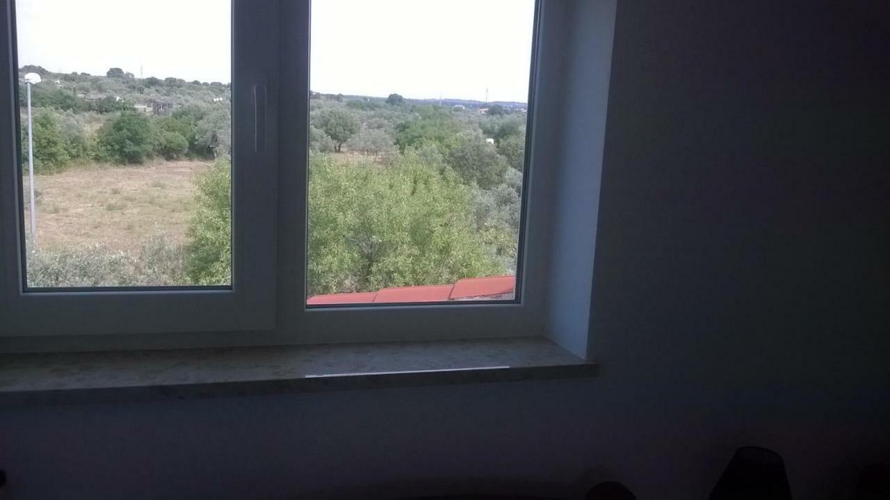 Apartments Villa Ulivo - Apartment Sol Fažana Kültér fotó